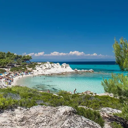 The Black Pearl Vilă